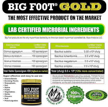 Big Foot Gold Mycorrhizal Fungi - 127 x More Concentrated Than Competition- 950 Million CFU/gram Bacteria, 400 Spores per gram. Treats 10,800 Plants (8 oz)