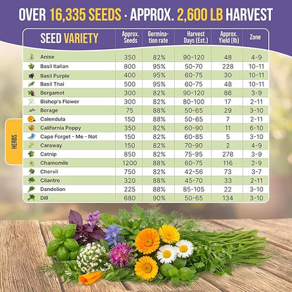 35 Medicinal & Tea Herb Seeds Variety Pack for Indoor & Outdoors. 16,335+ Non-GMO Heirloom Garden Seeds: Anise, Bergamot, Borage, Cilantro, Chamomile, Dandelion, Rosemary Seeds & More