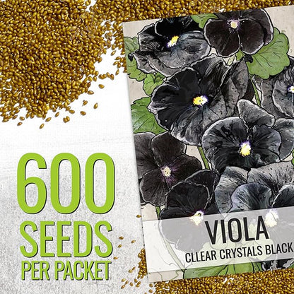Seed Needs Pansy Seeds for Planting Clear Crystals Black Pansies - Heirloom & Open Pollinated Annual Flower Seed to Plant an Outdoor Gothic Garden (5 Packs)