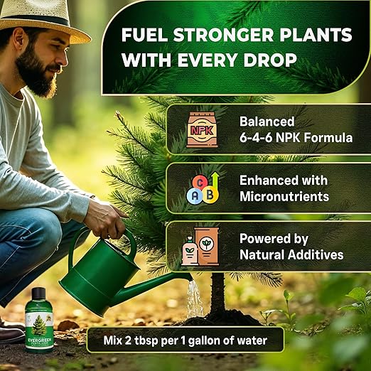 Leaves and Soul Professional Evergreen Tree Fertilizer Liquid Concentrate - 6-4-6 Blend for Evergreens, Garden Use - Liquid Plant Food for Evergreen Trees and Shrubs Outdoors - 8oz