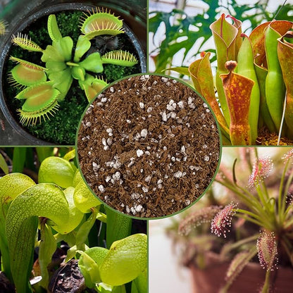 Soil Sunrise Carnivorous Plant Potting Soil Mix (1 Quart) Ideal Additive for Venus Fly Traps, Sundews, and Pitcher Plants
