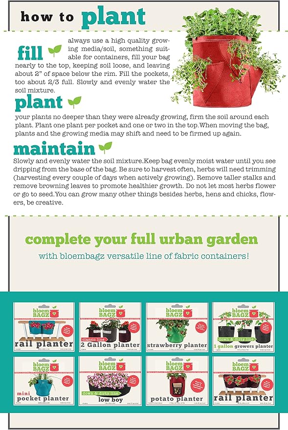 BloemBagz Big Herb Planter, 5 Gallon, Living Green