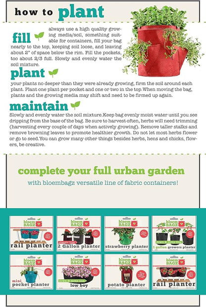 BloemBagz Big Herb Planter, 5 Gallon, Living Green