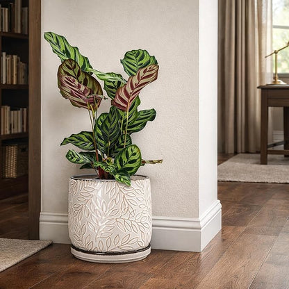 D'vine Dev 8 Inch Embossed Leaves Stoneware Planter Pot with Drainage Hole and Saucer, Smoked White, 27-A-Q-1