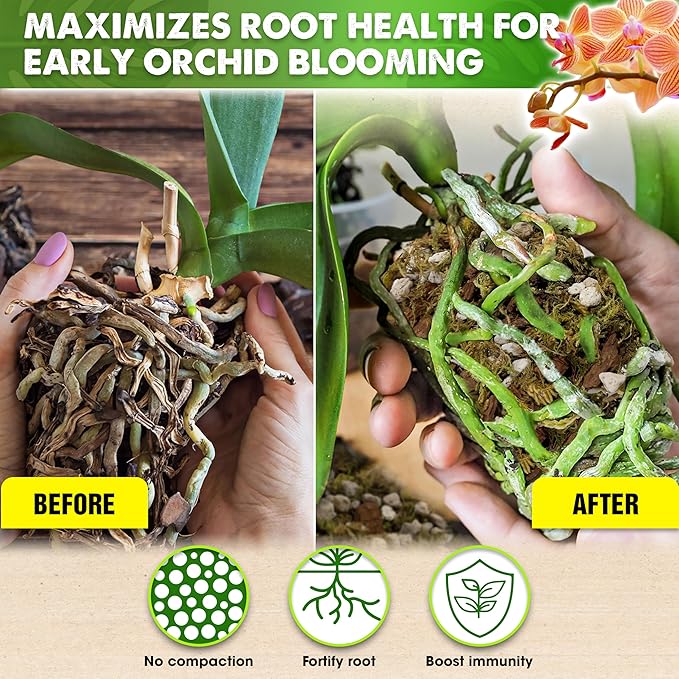 [Upgraded] DUSPRO Orchid Potting Mix for Repotting with Forest Moss, Pine Bark, Perlite & Pumice, Orchid Bark Potting Mix, Orchid Repotting Soil, Drainage Indoor Potting, Orchid Pot Not Included, 10QT