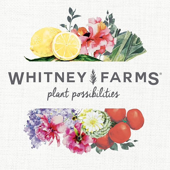 Whitney Farms Organic Potting Soil - Natural Indoor and Outdoor Container Mix for Vegetables, Herbs and Flowers, Feeds Plants up to 2 Months - 8 qt.