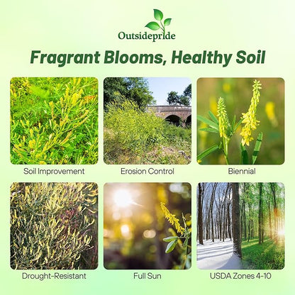 Outsidepride Yellow Sweet Clover Seed - 20 lbs Biennial, Drought-Tolerant, Frost-Resistant, Nitrocoated, Inoculated Yellow Clover Seeds Cover Crop for Forage, Honey Production, & Pollinators