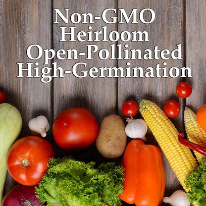 Mountain Valley Seed Company Vegetable Garden Can 50,000+ Seeds 16 Varieties for Long Term Storage, Emergency Supply, Survival Include Tomato, Pepper, Squash, Cucumber, Lettuce, Carrot, & More