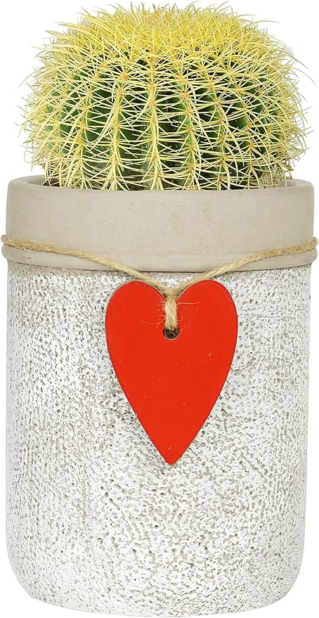 Classic Home and Garden 210027P-396 Heart Vase Planter, Whitewash