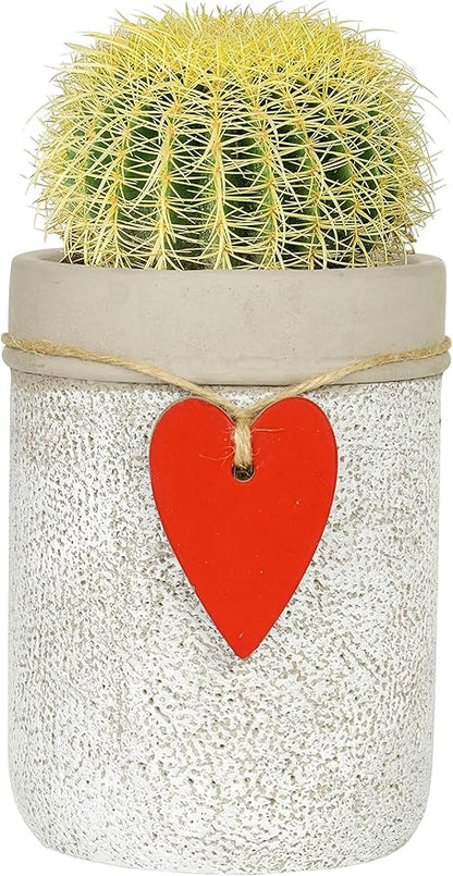 Classic Home and Garden 210027P-396 Heart Vase Planter, Whitewash