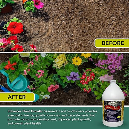 Medina Plus Soil Activator - Liquid Soil Loosener for Lawns & Gardens - Micronutrient-Rich Soil Conditioner & Softener - Used with House Plant Fertilizer, Liquid Plant Food for Houseplants - 1 Gal