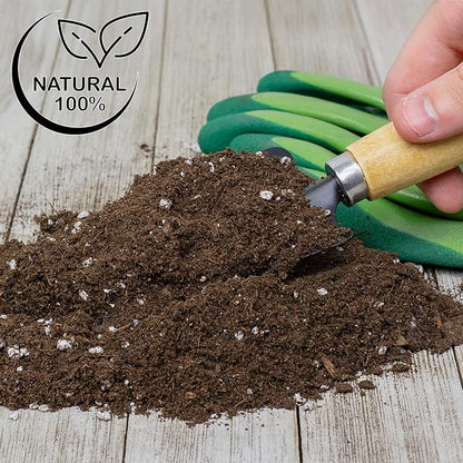 Soil Sunrise Lucky Bamboo Plant Potting Mix (4 Quarts) Custom Soil Mix for Repotting