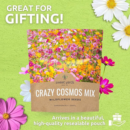 Cosmos Seeds Wildflower Mixture - Bulk 1 Ounce Packet - Over 5,000 Seeds - Pink, Yellow, Orange, Red, Purple and White Mixed Species!