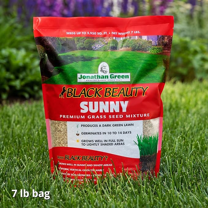 Jonathan Green (10880) Black Beauty Sunny Grass Seed - Cool Season Lawn Seed (7 lb)