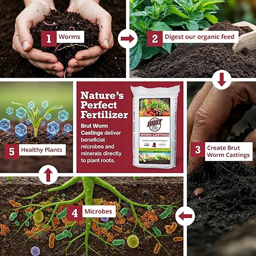 2-Pack Organic Worm Castings Fertilizer, 30 lb - Natural Soil Amendment for Plants, Potting Mixes, Indoor and Outdoor Gardens, Vegetables, and Lawns
