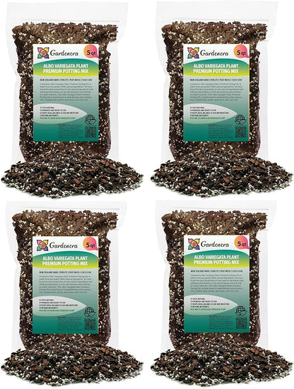 GARDENERA Albo Variegata Soil Blend - Trusted by Gardening Experts for Vibrant and Healthy Plants - 20 Quart (4 Bags of 5 Quart)