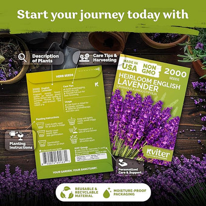 KVITER 2000 English Lavender Seeds for Planting Outdoor & Indoor (Lavandula angustifolia) – True Lavender Flowers, Heirloom Perennial, Non-GMO – Organic Herb Seeds for Outdoor Garden, Flower Beds