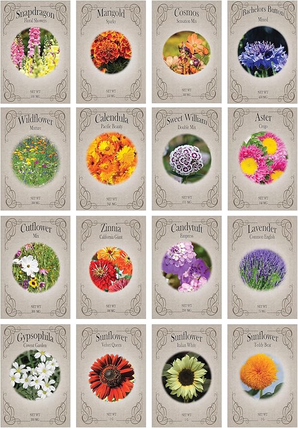 Valley Greene Set of 16 Heirloom Flower Seeds - Non-GMO - 16 Varieties - Assorted Flower Seeds - Individually Sealed Packs