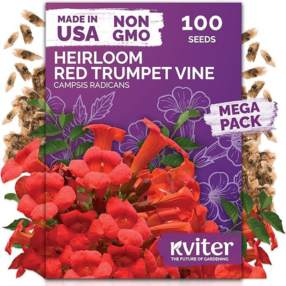 KVITER 100 Red Trumpet Vine Seeds for Planting (Campsis Radicans) – Trumpet Creeper, Organic & Heirloom Hummingbird Vine – Perennial Flower Seeds to Plant Outside – Fences, Trellises & Outdoor Garden
