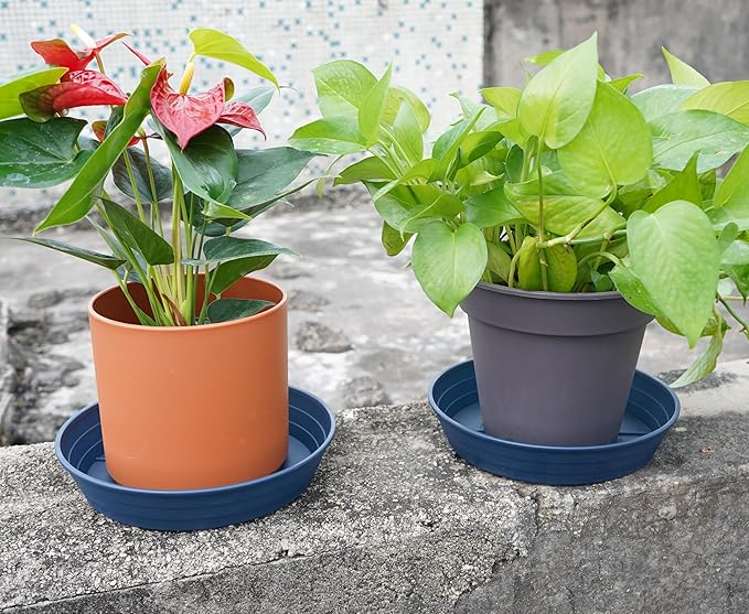 Plant Saucer 14 Inch 4 Pack 6 8 10 12 14 16 18 20 25, Plastic Plant Trays for Pots，Extra-Deep Plant Water Dray Tray, Bird Bath Bowl, Heavy Flower Plant Saucers Indoors and Outdoor No Holes