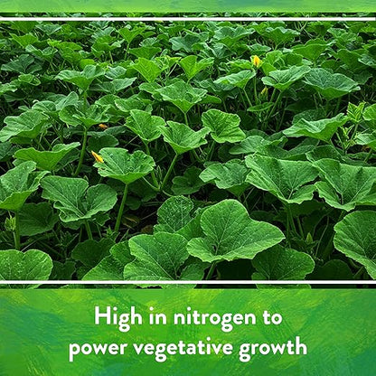 Down To Earth All Natural Fertilizers Organic Bat Guano - High Nitrogen Plant Food for Vegetative Growth 7-3-1, 25 lb