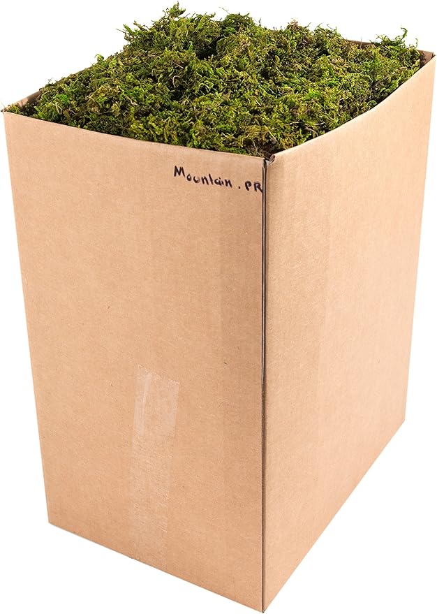 SuperMoss (23806) Mountain Moss – Natural Green Sphagnum Moss for Soil Top Dressing, Potting Mix, Garden Decor, and Craft Projects, 2,588 cu in, Preserved