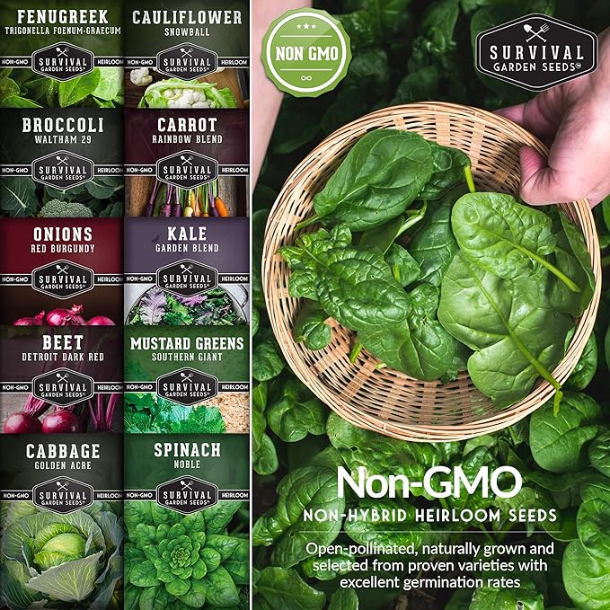 10 Spring Vegetable Seed Collection for Planting | Cool Season Root Vegetables & Leafy Greens, Suitable for Fall & Winter Gardens – Heirloom Non-GMO Variety Pack | Survival Garden Seeds