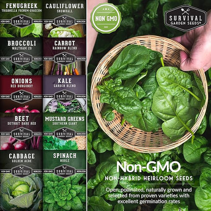 10 Spring Vegetable Seed Collection for Planting | Cool Season Root Vegetables & Leafy Greens, Suitable for Fall & Winter Gardens – Heirloom Non-GMO Variety Pack | Survival Garden Seeds