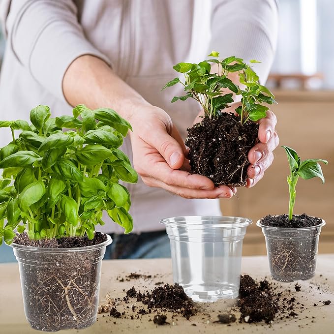 Small Plastic Plant Nursery Pot/Pots (36 Packs 5/4/3.5 Inch Plant Pot and 40 Plant Labels) Seedlings Flower Plant Container (Transparent) Seed Starting Pots Indoor Outdoor