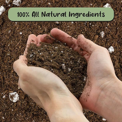Soil Sunrise Elephant Ear Potting Soil Mix (8 Quarts) Colocasia and Alocasia Potted Plant Blend