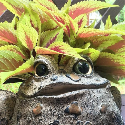 Toad Hollow HomeStyles Large Toad Planter 7" H Holds 4" W Pot, Natural Brown