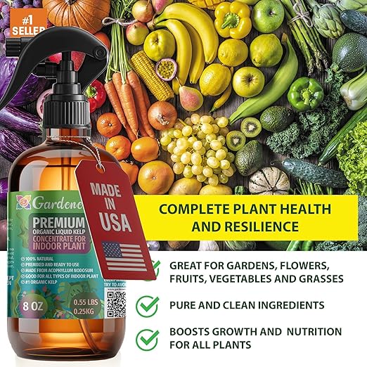 GARDENERA Professional Organic Liquid Kelp Spray for Grapefruit Plants - 8 oz - Ready-to-Use Fully Organic Seaweed & Kelp Fertilizer Mist