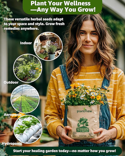 Medicinal & Tea Herb Seeds for Planting - 35 Non-GMO Heirloom Variety Pack for Indoor/Outdoor Garden: Anise, Bergamot, Borage, Fennel, Chamomile, Dandelion, Oregano, Hyssop, Catnip Seeds & More