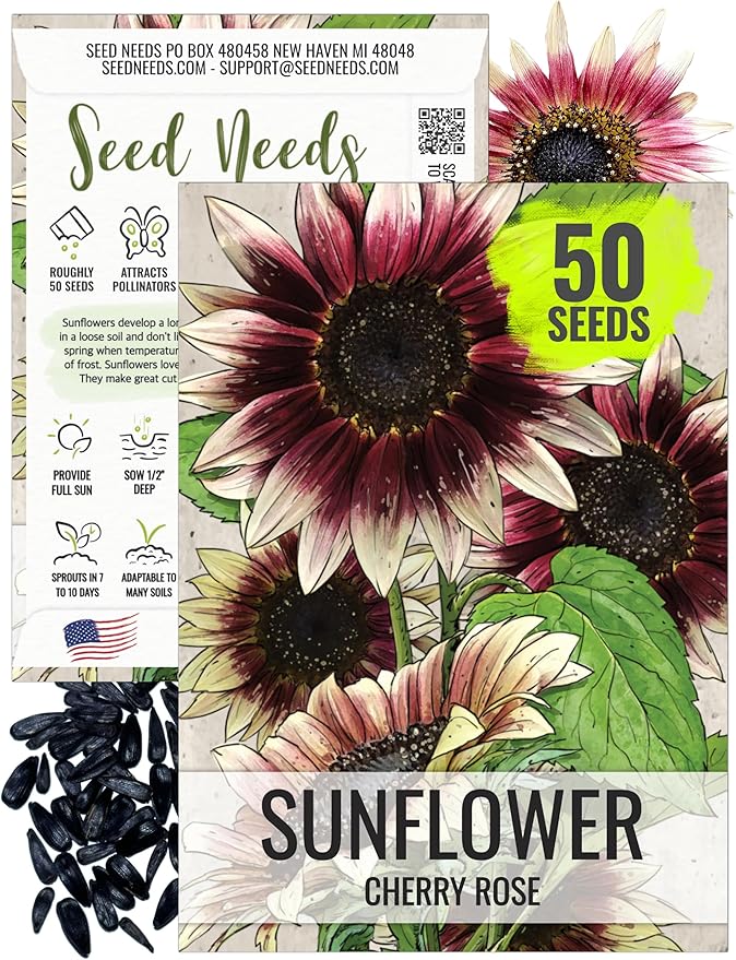 Seed Needs Sunflower Seeds for Planting Cherry Rose Sunflowers - Hybrid Flowers with Unique Bi-Colors for an Outdoors Flower Garden - Great for Cut Flowers in Bouquets & Floral Arrangements (1 Pack)