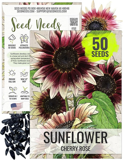 Seed Needs Sunflower Seeds for Planting Cherry Rose Sunflowers - Hybrid Flowers with Unique Bi-Colors for an Outdoors Flower Garden - Great for Cut Flowers in Bouquets & Floral Arrangements (1 Pack)