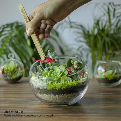 Cute Farms Terrarium Starter Kit | Moss, Vermiculite, Soil, Pebbles, Plant Food, & Finishing Tools (Large Kit + Crystals)