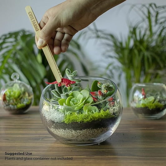 Cute Farms Terrarium Starter Kit | Moss, Vermiculite, Soil, Pebbles, Plant Food, Finishing Tools, Build and Care Guide | DIY Succulent Terrarium (Small)