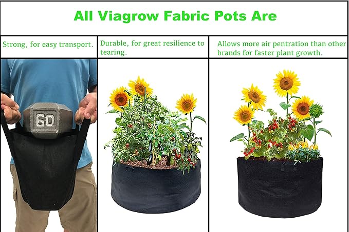 Viagrow Grow Bags/Aeration Fabric Pots with Handles (5 Pack), 2 Gallon, Black (Model: V2GAPOT-5)