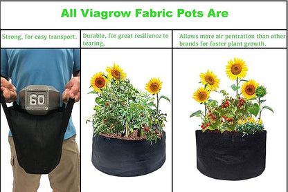 Viagrow Grow Bags/Aeration Fabric Pots with Handles (5 Pack), 1 Gallon, Black (V1GAPOT-5)