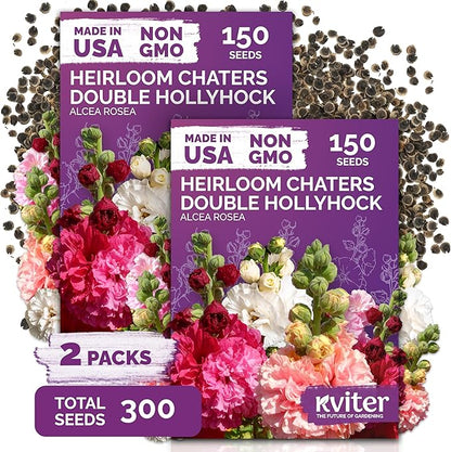 KVITER 300 Chaters Hollyhock Seeds for Planting (Alcea rosea), 2 Pack - Heirloom | Tall Blooms | Pollinator Magnet - Double Hollyhocks Flower Seeds to Plant Outside in Garden, Cottage Borders