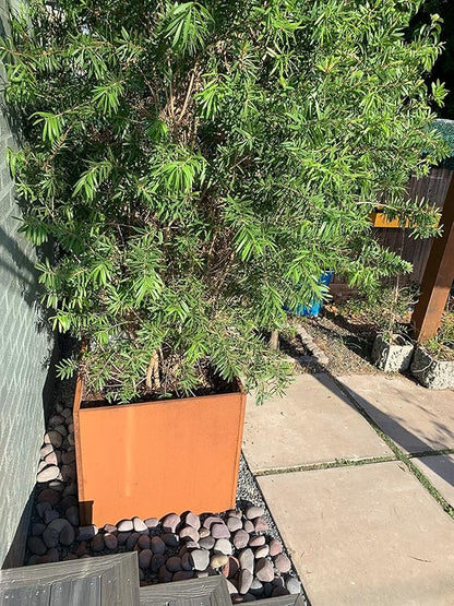 Corten Steel Planter Box Metal Square Planters 26 Inch Steel Large Outdoor Planter Tall Plant for Commercial Residential Patio and Backyard