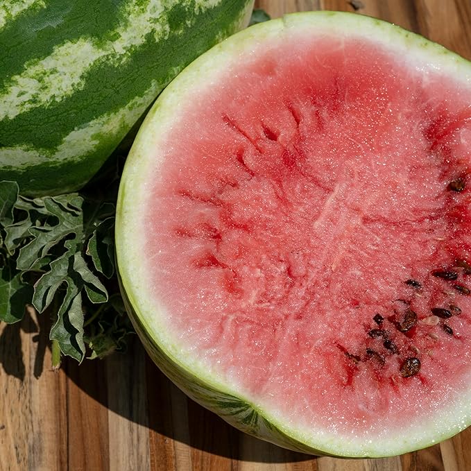 Plant Good Seed Organic Sweet Dakota Rose Watermelon Seeds for Planting: Fast Growing, Appropriate for Cooler Summer Climates, 15-20 Pound Fruits - 20 Seed Packet