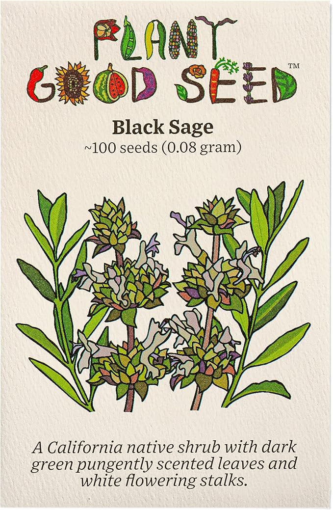 Plant Good Seed Organic Black Sage Seeds for Planting: California Native Plant, Aromatic Dark Green Leaves - 100 Seed Packet