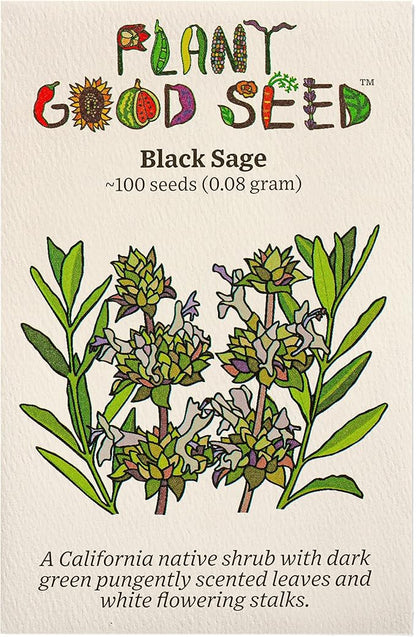 Plant Good Seed Organic Black Sage Seeds for Planting: California Native Plant, Aromatic Dark Green Leaves - 100 Seed Packet