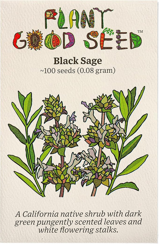 Plant Good Seed Organic Black Sage Seeds for Planting: California Native Plant, Aromatic Dark Green Leaves - 100 Seed Packet