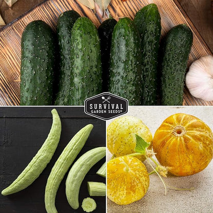 Survival Garden Seeds Cucumber Collection - Mix of Armenian, Beit Alpha, Lemon, National Pickling, & Spacemaster Seed Packets to Grow Vining Vegetables on The Homestead - Non GMO Heirloom Seed Vault