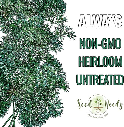 Seed Needs Wormwood Seeds for Planting - Non-GMO, Heirloom & Untreated Perennial Herb - Medicinal Herbs for Digestion & Gut Health (1 Pack)