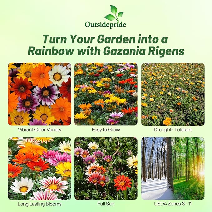Outsidepride New Day Mixed Gazania Seeds for Planting – 25 Pcs Perennial, Low-Maintenance, Drought-Tolerant Ground Cover Seeds for Vibrant Summer & Fall Flowers, Great for Outdoor Gardens