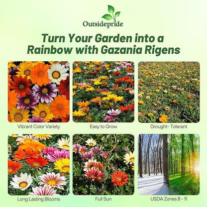 Outsidepride New Day Mixed Gazania Seeds for Planting – 25 Pcs Perennial, Low-Maintenance, Drought-Tolerant Ground Cover Seeds for Vibrant Summer & Fall Flowers, Great for Outdoor Gardens