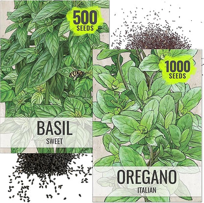 Seed Needs Sweet Basil & Italian Oregano Seeds for Planting Fresh Kitchen Herbs - Non-GMO Heirloom & Untreated Perennial & Annual Herb Seed to Plant a Culinary Garden Indoors or Outdoors (2 Packs)